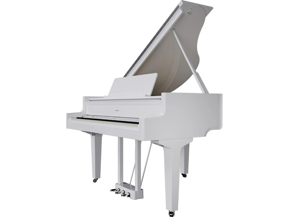 Hình ảnh chi tiết ROLAND GP-9 PW góc chụp 2